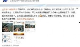 国产主播做爰直播,爰情直播的边界与反思